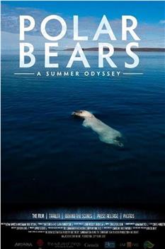 北极熊：一个夏天的奥德赛在线观看和下载