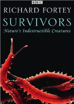 幸存者：自然界坚不可摧的生物在线观看和下载