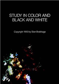 色彩黑白研究在线观看和下载