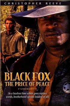 黑狐：和平的代价在线观看和下载
