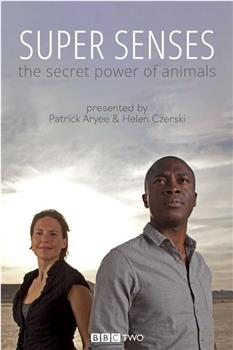超感：动物的秘密能力 第一季在线观看和下载