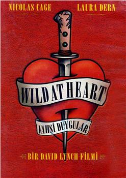 Love, Death, Elvis &amp; Oz: The Making of 'Wild at Heart'在线观看和下载