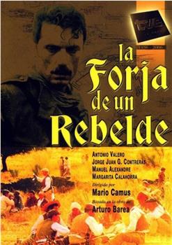 La forja de un rebelde在线观看和下载