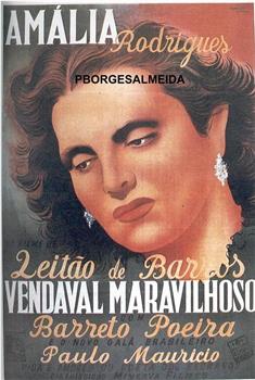 Vendaval Maravilhoso在线观看和下载