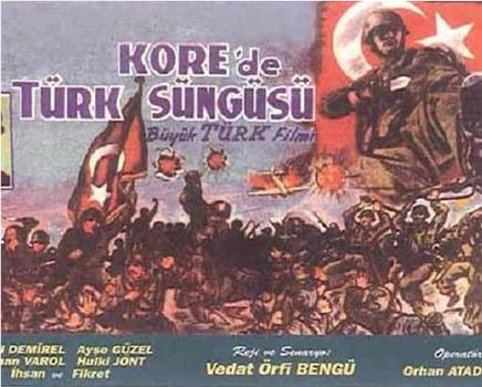 Kore'de Türk süngüsü在线观看和下载