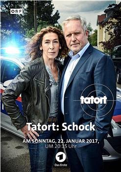 Tatort - Schock在线观看和下载