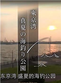 纪实72小时 东京湾盛夏的海上钓鱼公园在线观看和下载