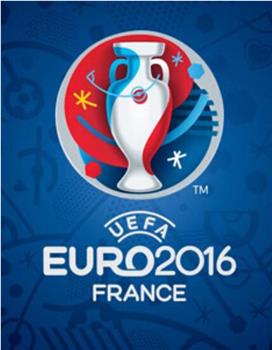2016年欧洲杯纪录片——印象法兰西在线观看和下载