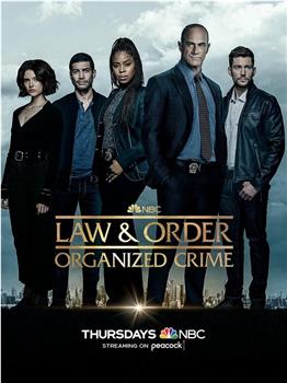 法律与秩序：组织犯罪 第三季在线观看和下载