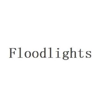 Floodlights在线观看和下载