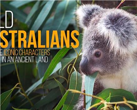 Wild Australians Season 1在线观看和下载