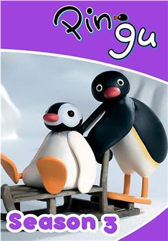 企鹅家族 第三季在线观看和下载