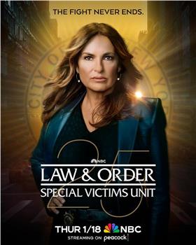 法律与秩序：特殊受害者 第二十五季在线观看和下载