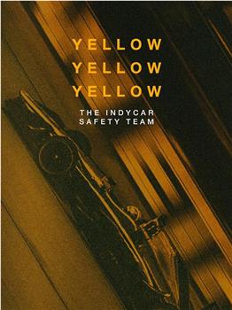 Yellow Yellow Yellow: The Indycar Safety Team在线观看和下载
