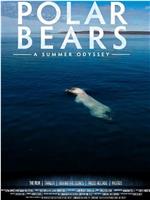 北极熊：一个夏天的奥德赛网盘分享