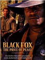黑狐：和平的代价
