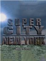 超级城市：纽约